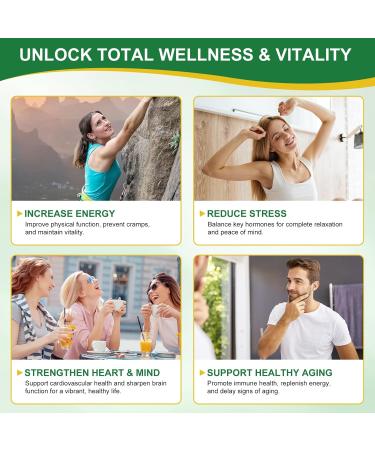 NAD Supplement - Liposomal Nicotinamide Riboside 900mg Resveratrol Quercetin - High Purity NAD Supplement for Energy Support Cellular Health Stamina & Healthy Aging - Ultra Strength 80 Capsules 80 Count (Pack of 1) - Buy Online on GoSupps.com