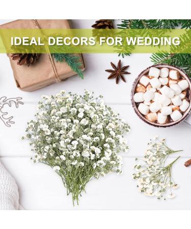 Dried Babys Breath Flowers - 200 White Real Gypsophila for Wedding, Resin Art, Craft, DIY - Natural Pressed Floral Decor - Buy Online on GoSupps.com