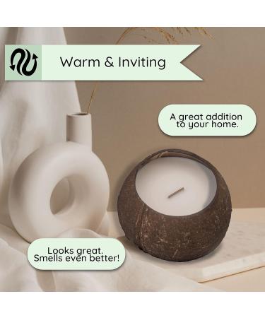 Eco Four Twenty Natural Coconut Candle | 40+ Hour Burn | Real Coconut & Soy Wax | Luscious Lavender Scent - Buy Online on GoSupps.com