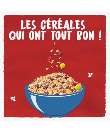 BJORG - Organic Protein Muesli - Legumes Raisin Cranberry - Reduced Sugar - High Fiber - 375g (Packaging may vary) - Buy Online on GoSupps.com