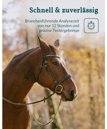 Vetevo Wurmtest for Horses | Reliable Roundworm & Strongylid Egg Count Test for Selective Deworming - Buy Online on GoSupps.com