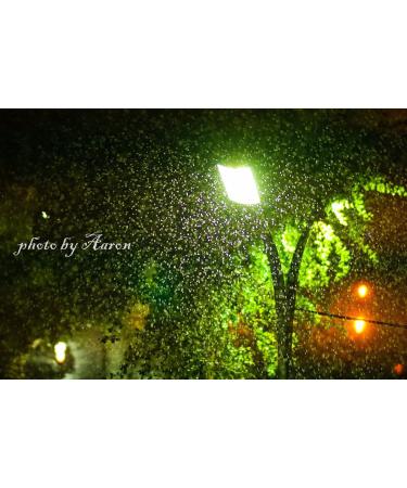 Lightdow 85mm F1.8 Medium Telephoto Portrait Lens for Canon EOS Rebel & DSLR - Buy Online on GoSupps.com