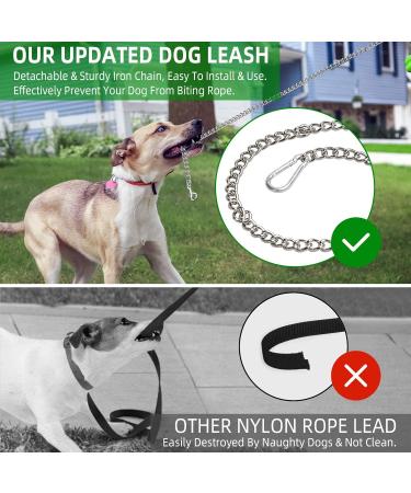 Retractable Dog Leash for Medium & Large Dogs - Etechydra Durable Anti-Bite Steel Chain 5m Pull-Out Nylon Strap Green - Buy Online on GoSupps.com