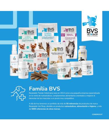 Barakaldo Vet Shop Condrocat BVS for cats 1 piece x 15 g - Buy Online on GoSupps.com
