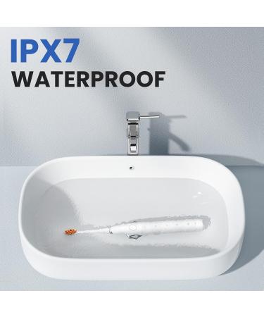 Oclean Electric Toothbrush - 7 Heads 180-Day Battery Sonic Cleaning IPX7 Waterproof 5 Modes - Shop Internationally - Buy Online on GoSupps.com