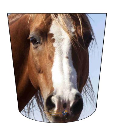 Amputee Sock ATKA "Horse Headshot V1" 3ply Stump Sock