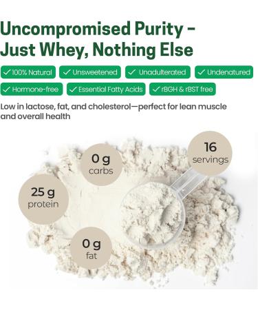 Whey Protein Isolate - Unflavored - Made in USA - Hormone-Free, Unsweetened, Non-GMO, Kosher, Gluten-Free - 1 lb - Ideal for Smoothies, Shakes, Drinks, Recipes - Buy Online on GoSupps.com