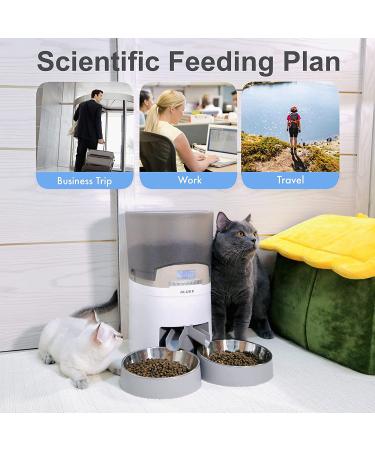 ALUKE Automatic Cat Feeder for Two Cats - 6.5L Dry Food Dispenser with Stainless Steel Bowls - Dual Power Supply - 10s Meal Call - Up to 50 Portions - 6 Meals Per Day - White/Gray - Buy Online on GoSupps.com