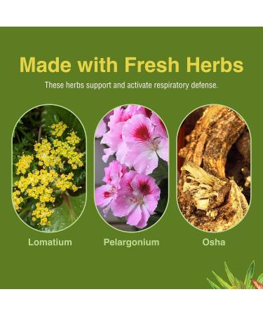Herbs Etc. Loviral - Lung Health Supplement for Respiratory Defense & Support - Herbal Supplement with Lomatium Pelargonium & OSHA - Gluten-Free - 60 Softgels (60 Servings) - Buy Online on GoSupps.com