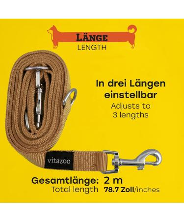 Vitazoo Brown Dog Leash 2m x 2.5cm - Adjustable Solid & Durable for Large Dogs - Double Line Design - Buy Online on GoSupps.com