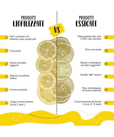 FRESH LEMON FRESH LYOPHILIZED - LEMONS FOR PROFESSIONAL COCKTAILS - HIGH QUALITY DRIED FRUIT - PASTRY ICE ICE - NO ADDED SUGAR - PACK 1 LITRE - Buy Online on GoSupps.com