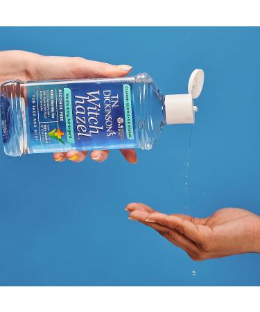 T.N. Dickinson's Witch Hazel Alcohol-Free Moisturizing Astringent 16 oz | 100% Natural Formula - Buy Online on GoSupps.com