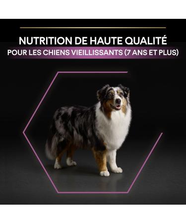 PURINA PRO PLAN | Medium & Large Adult 7+ Age Defense Rich in Chicken Dry Food for Adult Dogs 7 Years and Older 3kg Bag - Buy Online on GoSupps.com