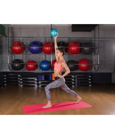 Vitos Fitness 10.0 lb Toning Soft Weighted Mini Ball for Core Training & Yoga - Buy Online on GoSupps.com