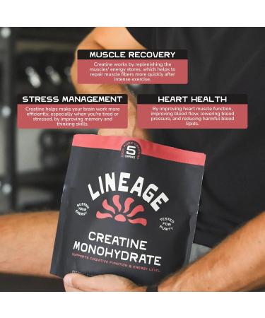 Lineage Provisions Micronized Creatine Monohydrate with Sea Salt - Micronized Creatine Powder for Training & Performance No Artificial Ingredients 90 Servings - Buy Online on GoSupps.com