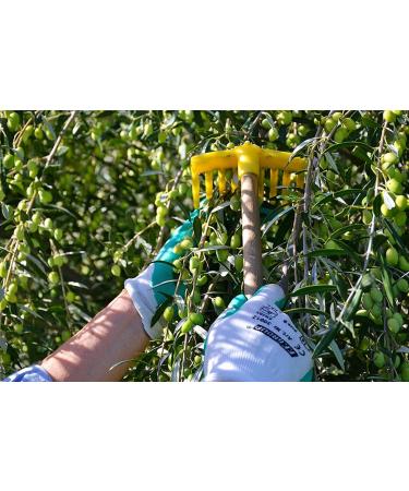 Olive Oil - Extra Virgin 9 Ultra Premium by Kasell Greece 500 ml - Buy Online on GoSupps.com