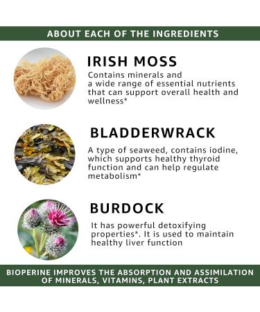 Organic Sea Moss Bladderwrack Burdock & BioPerine - 1405mg with Black Pepper - Natural Wellness and Detox Support Supplement - 60 Capsules - Buy Online on GoSupps.com