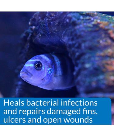 API MELAFIX - Effective Freshwater Fish Healing Remedy | 8oz - Buy Online on GoSupps.com
