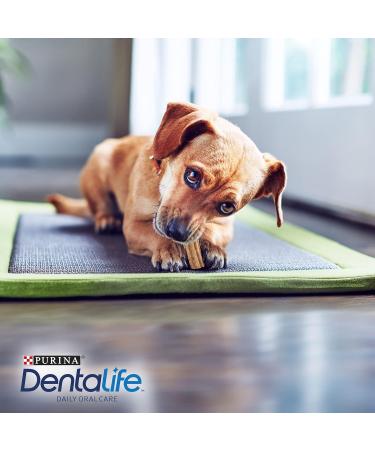 Dentalife Purina Daily Oral Care Extra Small Dental Snack Price for Very Small Dogs Toy 21 Sticks - Buy Online on GoSupps.com