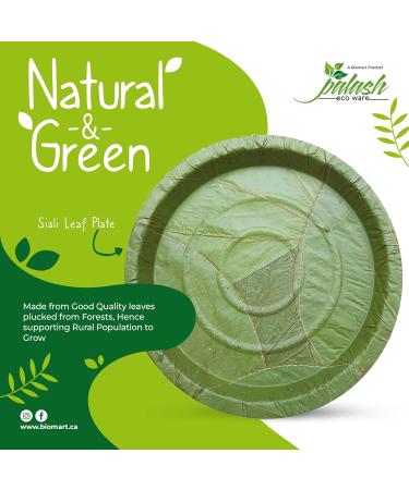 Palash Pack of 75 | Sal Leaf Dinnerware Set Eco-Friendly | 9" Plates + 4" Soup Bowl (4oz/120 ml) + Spoon | Sustainable Tableware for Theme Parties and Weddings 9" Plate + 4" Bowl + Spoon | Pack of 75 - Buy Online on GoSupps.com