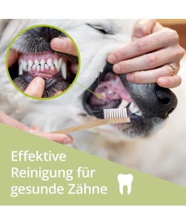 Bamboo Toothbrush for Dogs & Cats | 100% BPA-Free Dental Care | Removes Tartar & Bad Breath | Eco-Friendly 1 Pack - Buy Online on GoSupps.com