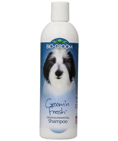Bio-groom Groom 'N Fresh Odor Eliminating Pet Shampoo, Available in 4 Sizes 12-Ounce