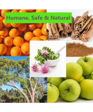 100% Natural Dog Trainer & Repellent Spray - Stops Chewing, Digging & Fouling - Safe for Adult Dogs & Puppies - Indoor & Outdoor - Makes 40+ Bottles - Buy Online on GoSupps.com