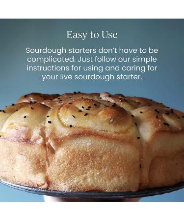 Breadtopia Sourdough Starter Live | Non-GMO  Heirloom  & Organic | Our Sour Dough Starter is Active & Ready to Go | Sourdough Starters for Home Made Bread Sourdough | Easy to Use Bread Starter Culture - Buy Online on GoSupps.com