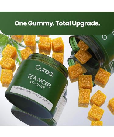Cured Sea Moss Gummies | Made in America w/Raw Sea Moss, Bladderwrack, & Burdock Root | Potent Seamoss Gummies for Immune, Gut, & Skin Health | 3X Stronger Than Gel | 30 Day Supply - Buy Online on GoSupps.com