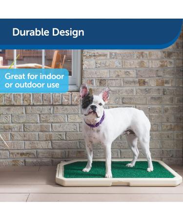 Buy PetSafe Yamaha CC-T1A Charging Station for WS-B1A Bluetooth Speaker - USB-C Fast Charging - International Shipping Available - Buy Online on GoSupps.com