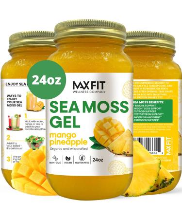 Sea Moss Gel Organic Raw (12 Flavors) 24oz Wildrafted Gold Sea Moss Gel from Saint Lucia | 92 Vitamins and Minerals | Pure Raw+Non-GMO | Vegan Superfood MANGO PINEAPPLE