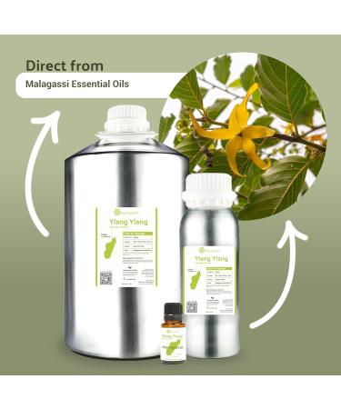 Ylang Ylang Essential Oil - 100% Pure Therapeutic Grade 8oz | Malagassi Direct | Best Essential Oils for Diffusers & Home Use - Buy Online on GoSupps.com