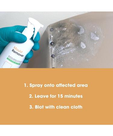 Furniture Clinic Mould Remover Spray - Kills, Removes & Prevents Mould on Leather, Fabric & Wood - 500ml - Buy Online on GoSupps.com
