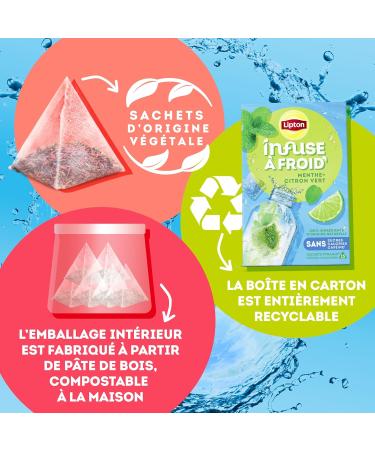 Lipton Cold Brew Cold Infusion Lemon & Mint Taste Ideal for Ice Tea Ingredients of 100% Natural Origin 6x15 Pyramid Bag - Buy Online on GoSupps.com
