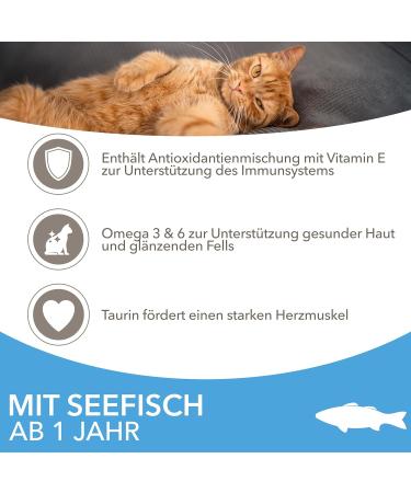 IAMS Dry Cat Food with Fish - Nutritional Formula for Cats Aged 1-6 Years | 3 kg Pack - Buy Online on GoSupps.com