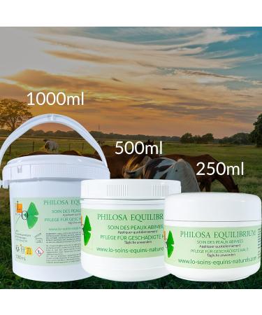 Philosa Equilibrium - Care Natural balm for damaged skin (mud fever etc.) for horses - Plant-based Calendula T - Buy Online on GoSupps.com
