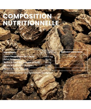 Harpagophytum Bio 2000 - Painful joints Flexibility Mobility - Highly dosed food supplement - 2000mg/day - 20 ampoules - Made In France - Vegan - Santarome Bio - Buy Online on GoSupps.com