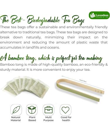 Lavendium Premium 40 Soursop Leaf Tea Bags 100% Natural and Pure from Soursop Graviola Leaves. Made with Eco-Conscious Tea Bags Soursop Leaf Herbal Tea. No Sugar No Caffeine No Gluten Vegan. (40 Bags) - Buy Online on GoSupps.com