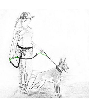 Mile High Life | Retractable Hands Free Dog Leash | Waist Running Adjustable | Reflective Dual Bungees | Dual Handles | Small Medium Large Dogs | (Purple) 7 Foot (Pack of 1) Waist Running-Purple - Buy Online on GoSupps.com