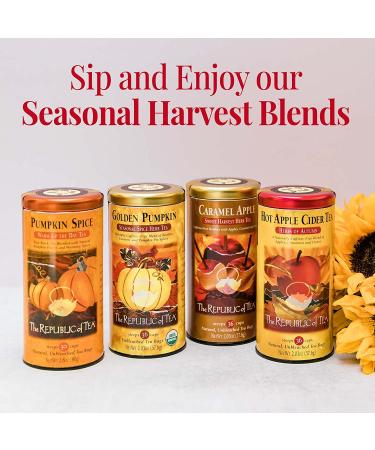 The Republic of Tea Hot Apple Cider Tea 36 Bags Tin - Harvest Herbal Blend, Caffeine-Free, 36 Count - Buy Online on GoSupps.com