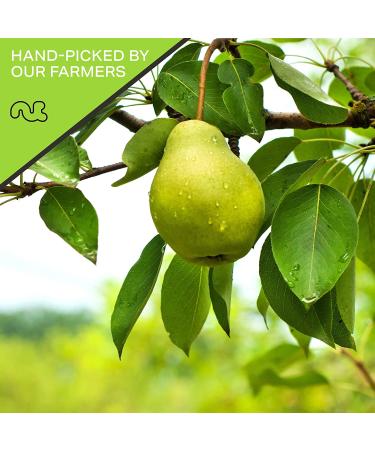 Sun Dried California Pears (32oz) - Sweet Dehydrated Fruit Snack - All Natural, No Sugar Added - Vegan & Kosher - Resealable Bag - Buy Online on GoSupps.com