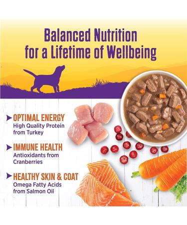 Wellness Turkey Stew Canned Dog Food, 12.5 oz (Pack of 12) - Natural & Thick Formula - Buy Online on GoSupps.com