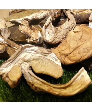  Bontout Set of 6 Porcini mushrooms - 100 g jar - Buy Online on GoSupps.com