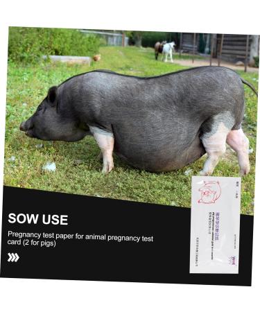 FRCOLOR 6 Pcs Pregnant Tester Pig Pregnancy Test Strips Livestock Testing Paper Animal Pregnancy Test Tools Sow Pregnancy Test Strips Farm Testing Tool White Plastic Accessories Whitex3pcs 1 count (Pack of 1) - Buy Online on GoSupps.com