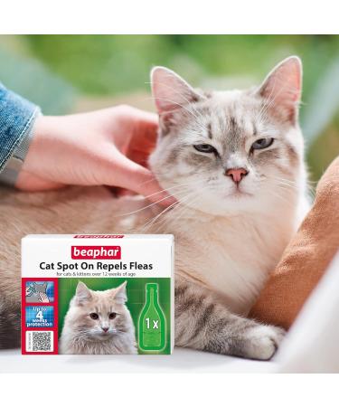 Beaphar Cat Spot On Four Week Protection Flea Repel Solution - Buy Online on GoSupps.com
