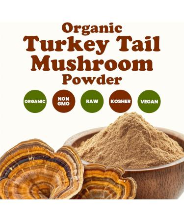 Food to Live Organic Turkey Tail Mushroom Powder 2 Pounds - Immune Support Energy Boost 100% Natural Vegan Non-GMO Pure Perfect for Beverages Kosher Bulk 32 Ounce (Pack of 1) - Buy Online on GoSupps.com