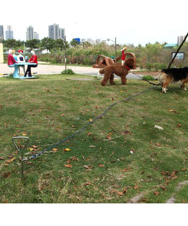 Dog Tie Out Cable with 18" Spiral Ground Stake Spike - Out for Outdoor Yard and Camping - Small to Medium Dogs (18" 45CM Stake 18" 45CM Stake) - Buy Online on GoSupps.com