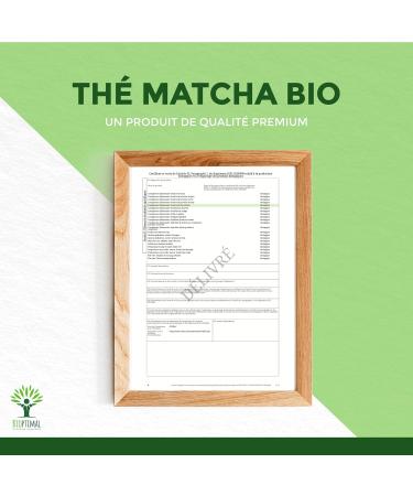 Matcha Tea Powder - Powerful Antioxidant - Japanese Premium Quality - Green Food Coloring - Kitchen and Infusion - Made in J - Buy Online on GoSupps.com