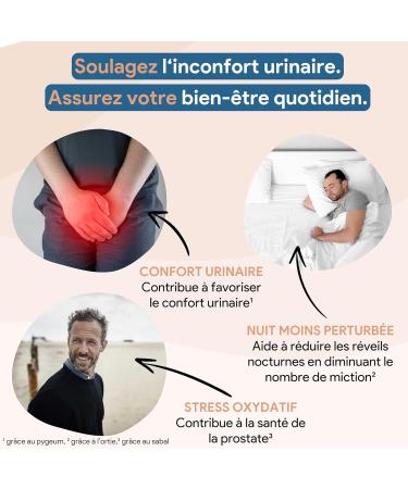 Prostatex Urinary comfort & BPH | Prostate | Natural and vegan formula with Saw palmetto Nettle Squash seed Miniature palm Pygeum africanum African plum Made in France - 120 capsules - Buy Online on GoSupps.com