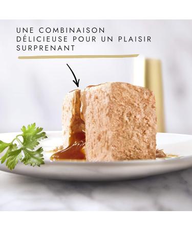 Buy Gourmet Fondant Heart - Tuna Salmon Beef & Chicken | 12 x 85g Melting Treats for Pets - Buy Online on GoSupps.com